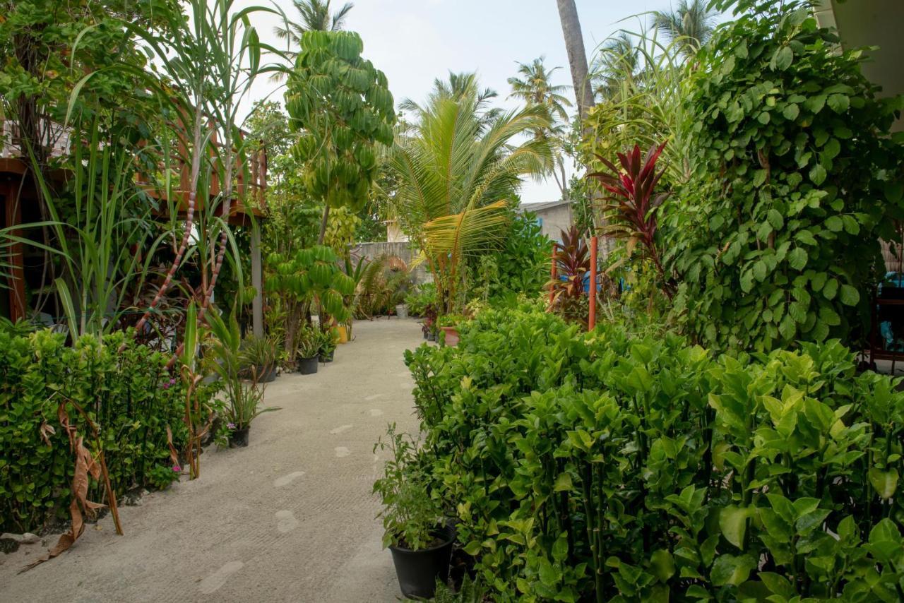 Sunset Beach View Dhangethi Exterior foto