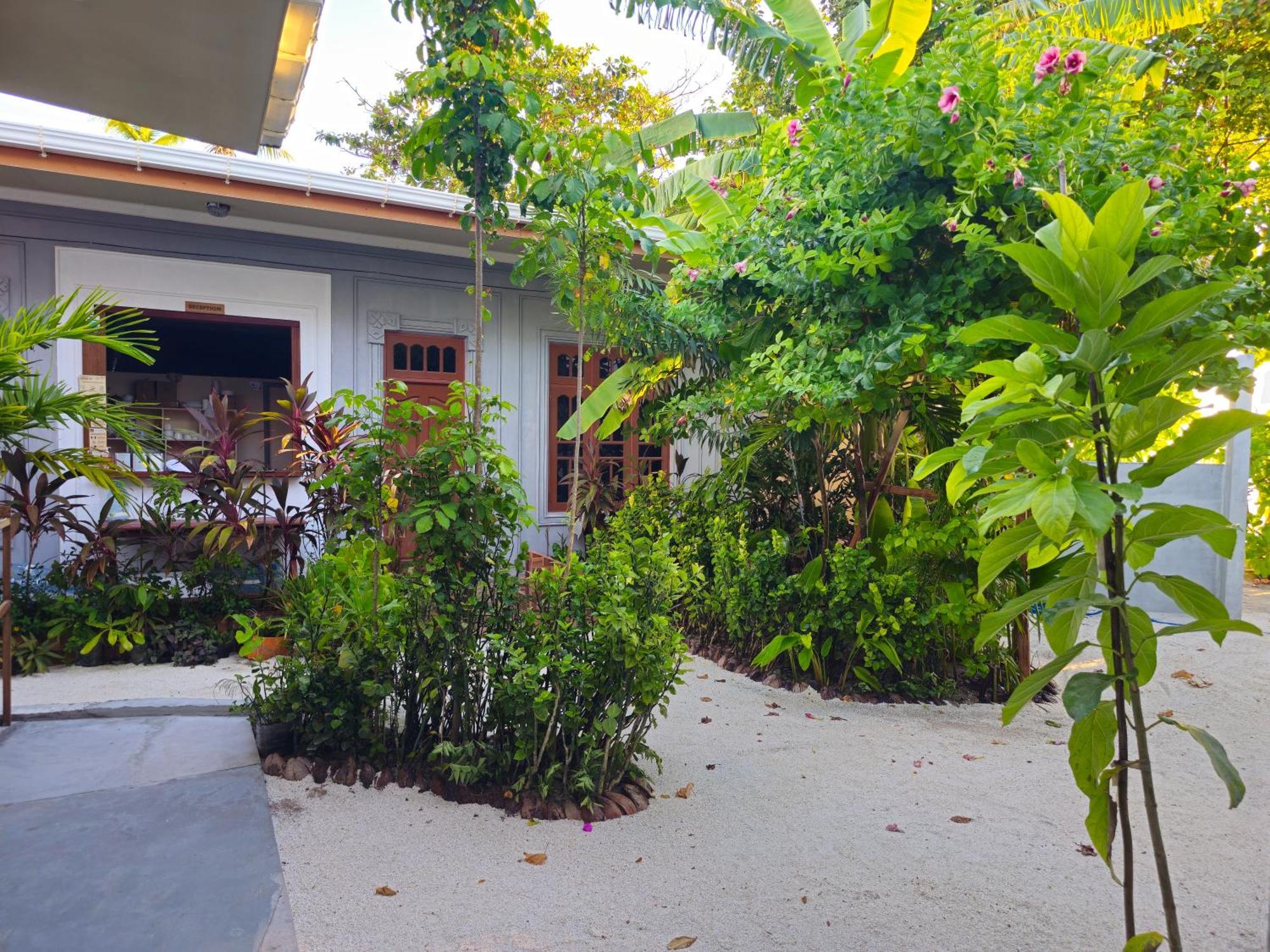 Sunset Beach View Dhangethi Exterior foto