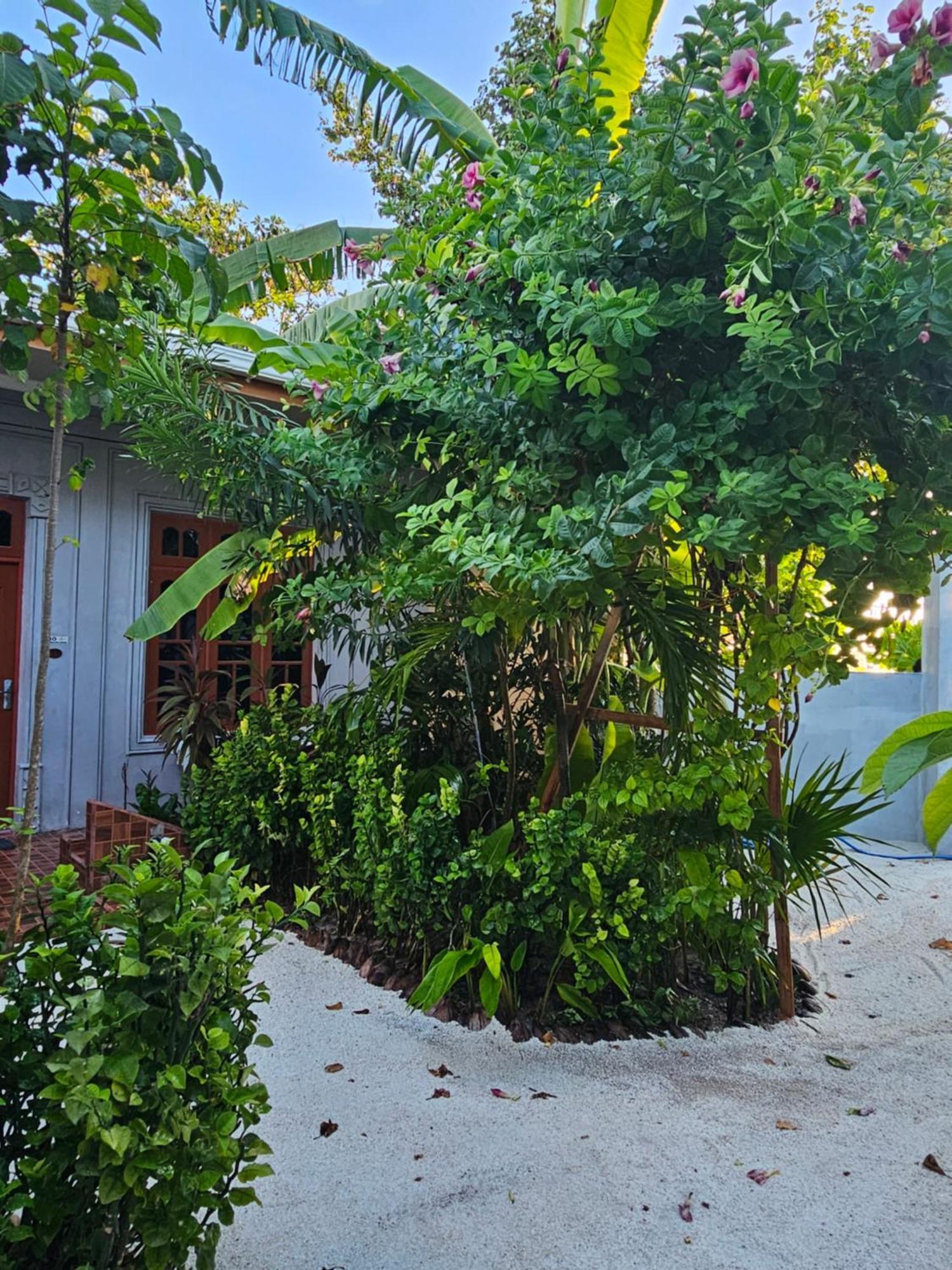 Sunset Beach View Dhangethi Exterior foto