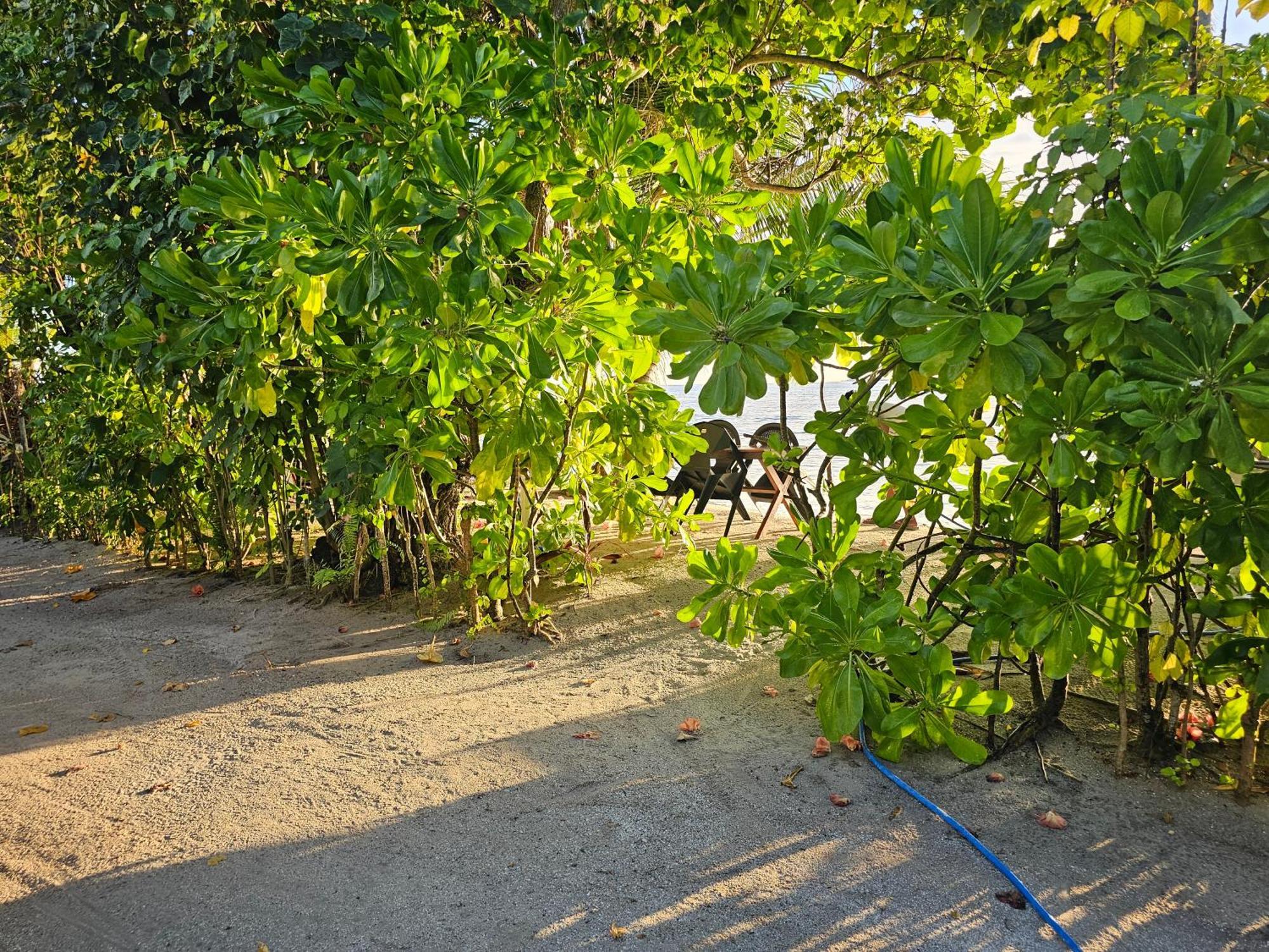 Sunset Beach View Dhangethi Exterior foto